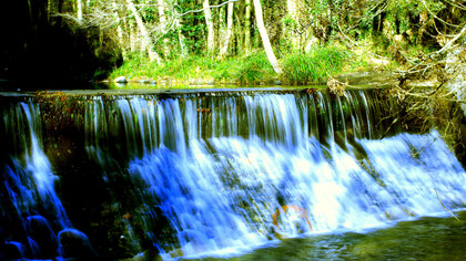 Riera, Parque Natural El Montseny, Cataluña, España