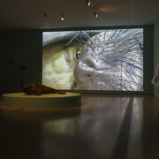 Varios artistas, Itinerarios XXX, vista de exhibición. Cortesía del Centro Botín