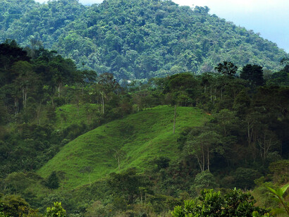 El Alto Mayo peruano no solo destaca por su biodiversidad, sino también por su papel en la conservación de fuentes de agua esenciales para la región amazónica