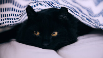 El amor, la complicidad no se encuentra en un escaparate virtual