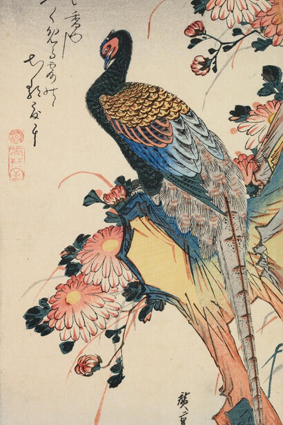 Utagawa Hiroshige, Pheasant and chrysanthemums, early 1830s. Courtesy of the British Museum