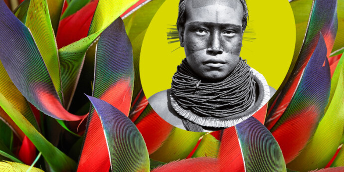 Amazonie. Courtesy of Pointe-à-Callière 