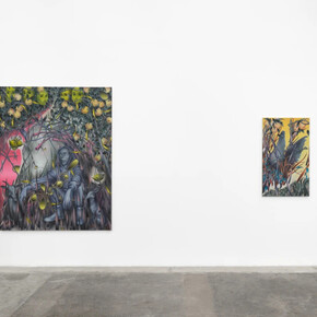 From the cloud by László von Dohnányi and Preslav Kostov, installation view of the exhibition at Baert Gallery. Courtesy of the artists and Baert Gallery. Photo by Paul Salveson