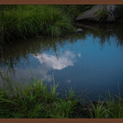 Stephen's Pond, 2019. Archival pigment print, 20 x 30 inches (framed dimensions: 21.5 x 31.5 x 2 inches). Courtesy of Winston Wächter Fine Art Seattle