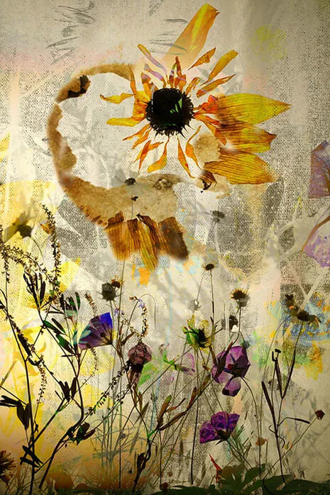 Elizabeth Chiles, Stardust dialogues, no. 01, 2024. Courtesy of Koslov Larsen