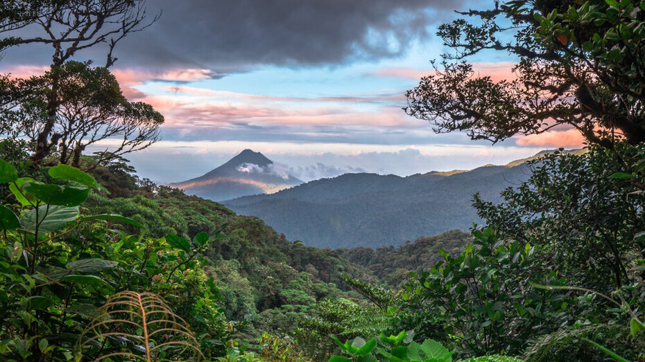 Entre 1950 y 1987, Costa Rica vivió un periodo insostenible que es típico de las economías extractivas
