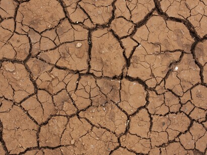 La desertificación es una de los mayores problemas que afronta el planeta