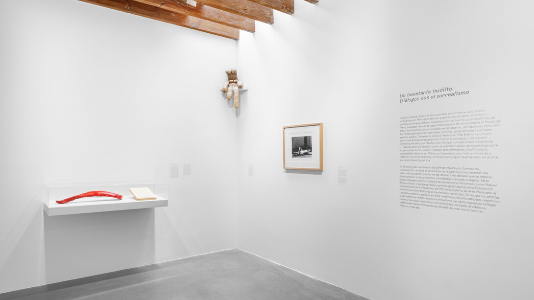 Varios artistas, Un inventario insólito. Diálogos con el surrealismo, vista de exhibición. Cortesía de kurimanzutto 