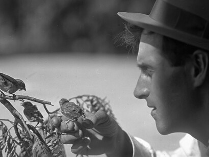 Catching Birds with a Camera. Courtesy of Oregon Historical Society