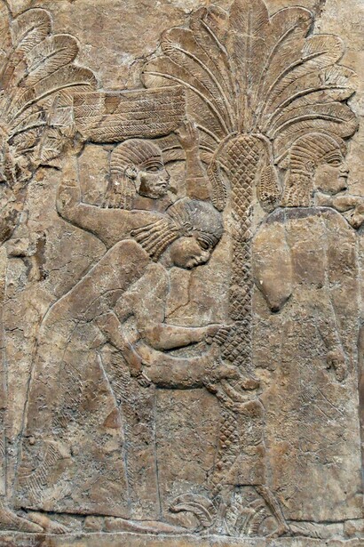 Campagna nell'Iraq meridionale: i prigionieri vengono fatti marciare attraverso boschetti di palme da dattero fino al quartier generale assiro. Pietra, opera d'arte dell'Assiria, 640-620 a.C. circa. Dal Palazzo di Sud-Ovest a Ninive, sala XXVIII, pannelli 7-9. British Museum, Londra, UK