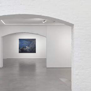 Timothy Lai, No swans, exhibition view. Courtesy of Josh Lilley Gallery 