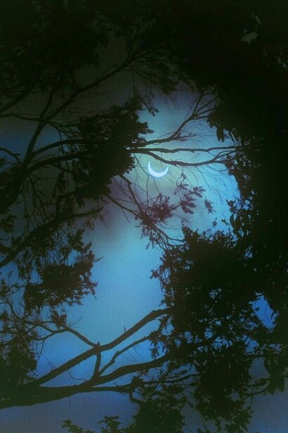 Moonlight