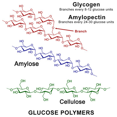 Natural polymers include the polysaccharides also. Here, the structures of some glucose polymers are shown.