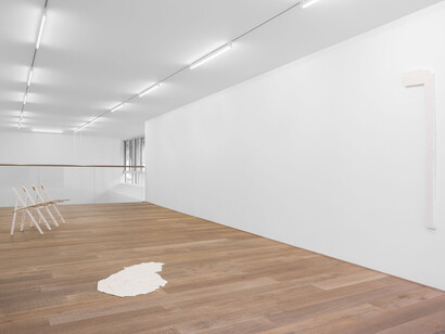 Photo-credit: HV-studio, Brussels. Courtesy: the Artist and Xavier Hufkens, Brussels