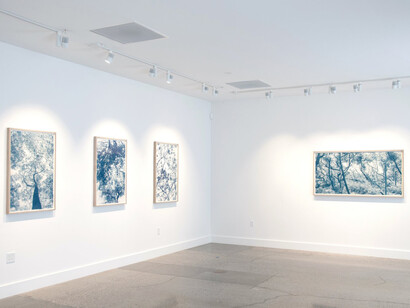 Dora Somosi, Understory, in blue, exhibition view. Courtesy of Sarah Shepard Gallery