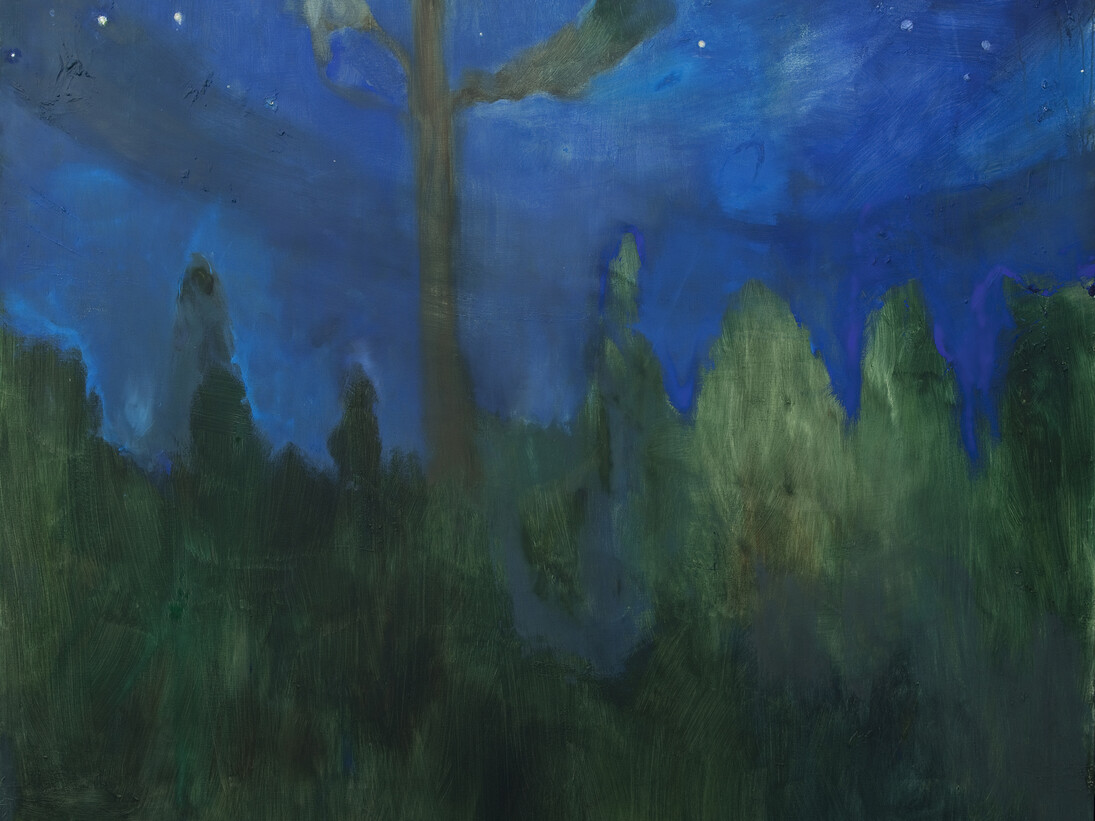 Suzy Murphy, A shout of stars, oil on canvas, 150 cm x 180 cm