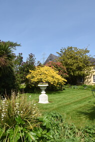 Il giardino in veste primaverile, con le fioriture di azalee, rododendri e camelie. Nella foto in basso si notano un cespuglio di Libertia grandiflora, un’iridacea dai fiori bianchi, e la massa dorata di Azalea mollis dai fiori profumati. Foto di Enzo Valenti