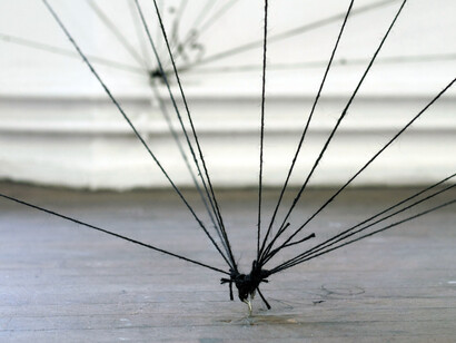 Maria Teresa Ortoleva, Bergsonian drawing, connecting puncta, 110x85cm
2. Emily Hawes, Muscle Memory, HDV projection on Ply, 2014