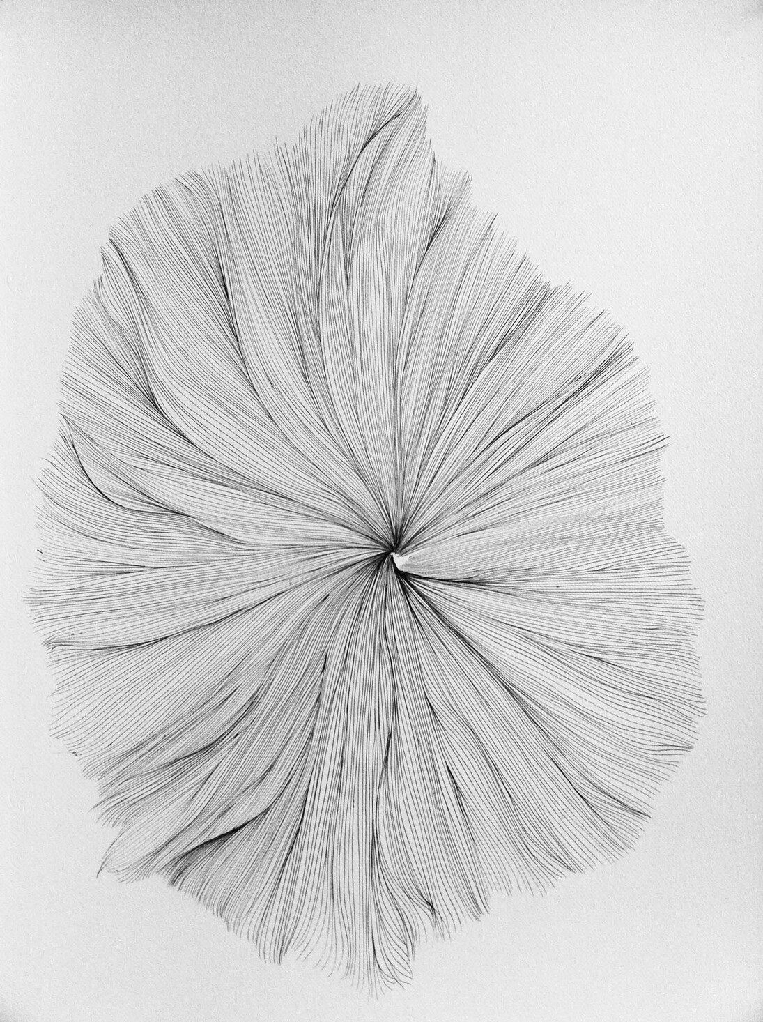 Jérémy Gobé
Dessin continu 4, 2015
Stylo à bille sur papier
65 x 50 cm
Courtesy de l’artiste et DRM Galerie