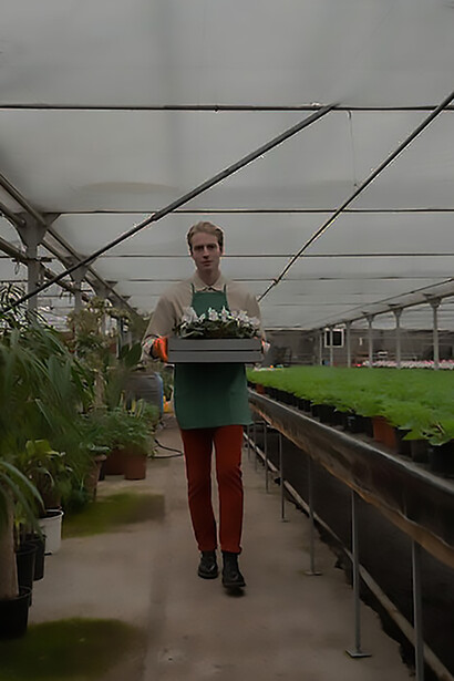 Championing sustainability, an individual cultivates crops in a greenhouse, embodying eco-friendly farming practices that foster a resilient and environmentally conscious approach to agriculture
