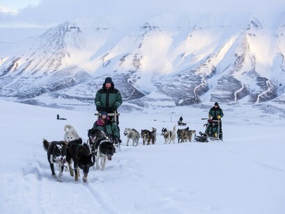 Green Dog Sledding