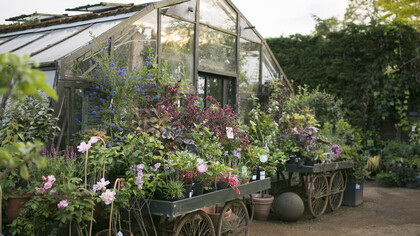 Petersham Nurseries Cafe. Credit Marimo Images