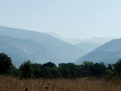 Sólo desearía que estas ansias sin saciar y este querer subirme a un tren que siempre se me escapa. Paisaje apesadumbrado por la neblina 