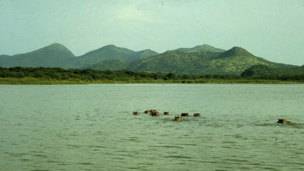Lago Chew Bar