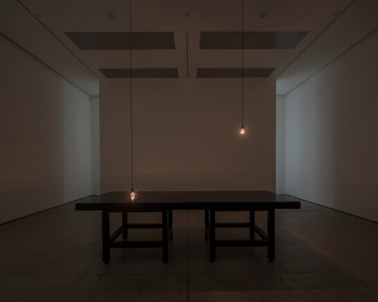 Wang Gongxin, Exhibition view. Courtesy of White Cube