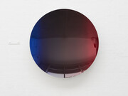 Anish Kapoor. Courtesy of the artist