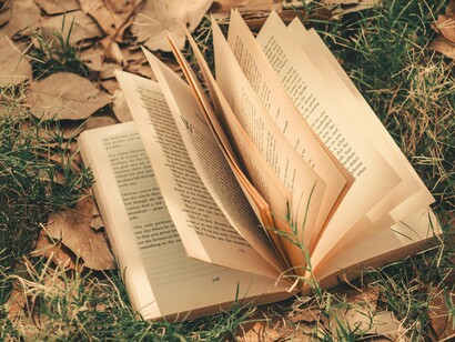 É bastante antiga a tendência em se agrupar os textos literários em classes. A mais antiga classificação que se conhece na cultura ocidental remonta à Platão, que em sua obra "A República", faz menção à comédia, à tragédia, à epopeia e ao ditirambo, composição poética em louvor ao deus grego Diónisos




