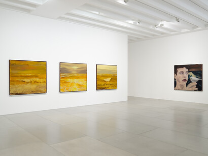 Enrique Martínez Celaya, The Mariner's Meadow, 2019, Installation view, Courtesy the artist and BlainSouthern, Photo Peter Mallet