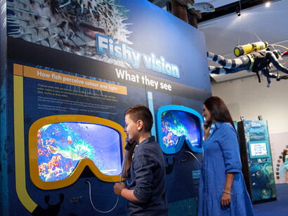 Colour. Secret language of the reef, exhibition view. Courtesy of Queensland Museum Tropics