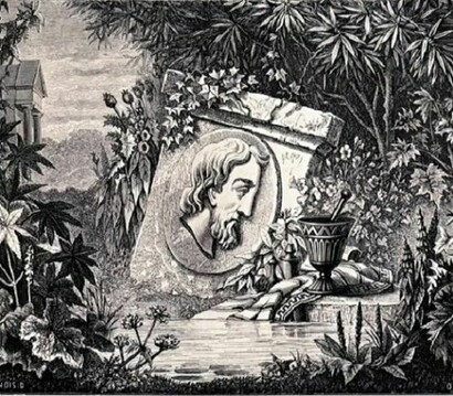 Medaillon de Dioscoride. Iconographie grecque de Visconti.