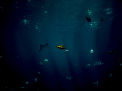 Donde empezó la vida