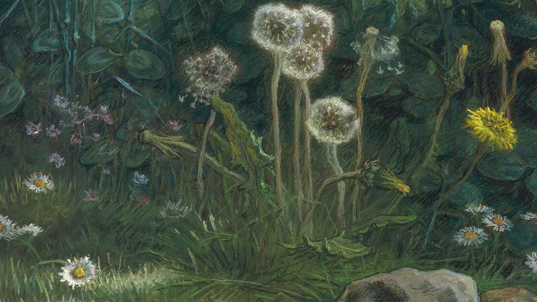 JEAN-FRANÇOIS MILLET, DANDELIONS, 1867–68. Pastel on tan wove paper. Gift of Quincy Adams Shaw through Quincy Adams Shaw, Jr., and Mrs. Marian Shaw Haughton.