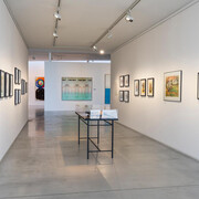 Jaroslava Bičovská, California diary, exhibition view. Courtesy of Danubiana