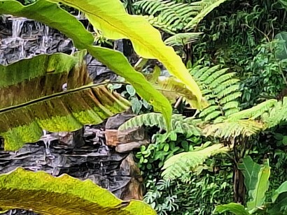 Gli odori della vegetazione e dei rigogliosi fiori che nascono spontanei si mescolano a quelli del mare, foto di Valeria Caldelli