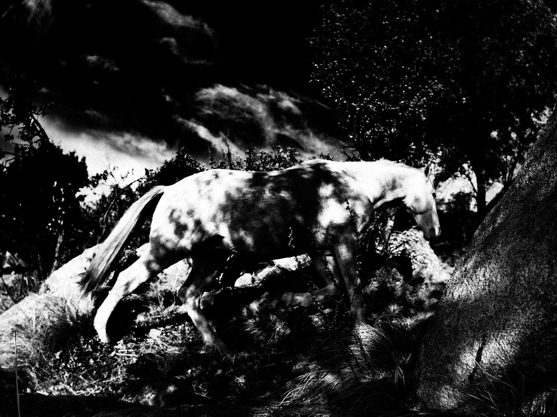 © Jean-François Spricigo. Courtesy Galerie Maeght, Paris, 2014