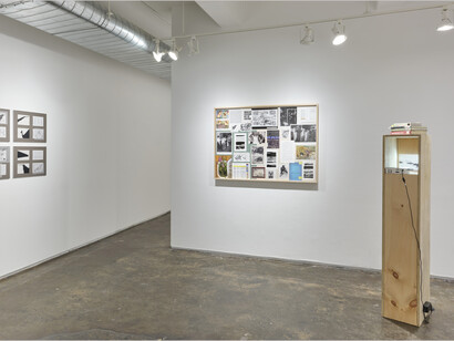 Sandra Erbacher, Invasive Species, Exhibition view, 2023. Courtesy of A.I.R Gallery