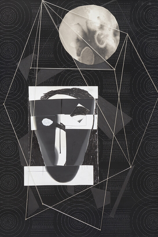 Sheree Hovsepian, 'The State of Nature', 2015, archival dye transfer print, graphite, acrylic, silver gelatin prints, brass nails and string, 76 x 101.5 cm