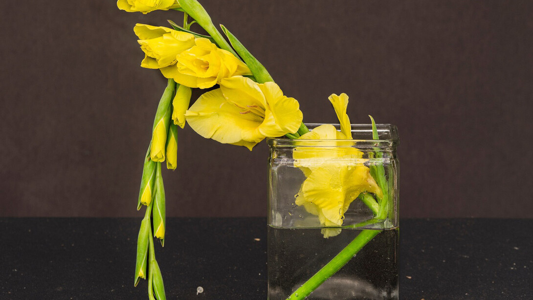 James Henkel, Yellow glad, 2023. Courtesy of Tracey Morgan Gallery