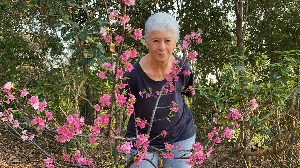 Irma Passoni com suas plantas