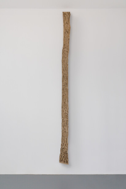 Under the Spell of the Image. Courtesy of The Approach