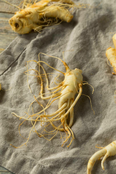 Known as Asian, Chinese, or Korean ginseng, Panax ginseng is a perennial plant found in the mountains of East Asia. Its root serves as the original source of ginseng and is predominantly cultivated in China, Korea, Russia, and Japan