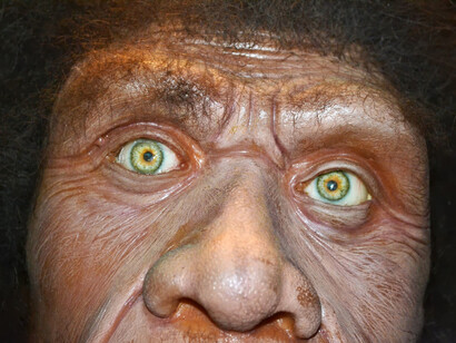 La mirada del Neandertal