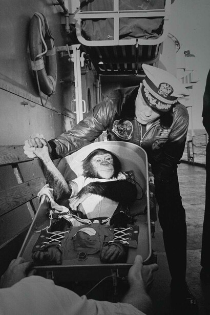 Lo scimpanzè Ham, che precedette Yuri Gagarin e Alan Shepard nello spazio (1961)
