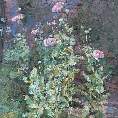 Daphne Todd, Opium Poppies: Towards the Light