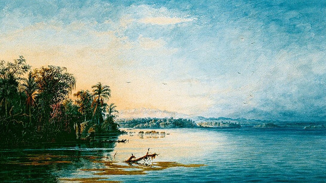 Lago Tacarigua o «de Valencia» (1873). Pintura del naturalista, pintor y artista gráfico Alemán Anton Goering (1836-1905), quién viajó por Venezuela entre 1866 y 1874, recolectando muestras de plantas y animales (Galería de Arte Nacional, Caracas, Venezuela)