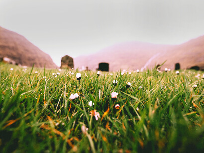 Tierra de nadie -o de todos- y desde hace tanto tiempo que no regreso